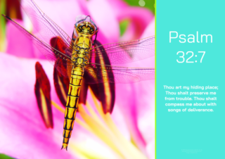 FREE Dragonfly Bible poster with Bible verse from Psalm 32:7; teal and lime background; free printable