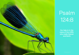 FREE Dragonfly (Damselfly) Bible poster with Bible verse from Psalm 124:8; teal and lime background; free printable