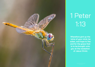 FREE Dragonfly Bible poster with Bible verse from 1 Peter 1:13; teal and lime background; free printable