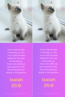FREE White Fluffy Kitten Bible bookmark with Bible verse from Isaiah 25:9 on purple pink background; free printable