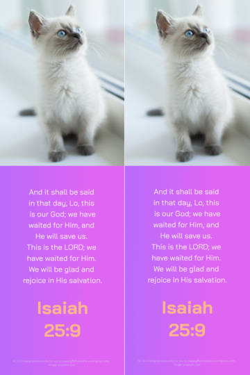 FREE White Fluffy Kitten Bible bookmark with Bible verse from Isaiah 25:9 on purple pink background; free printable